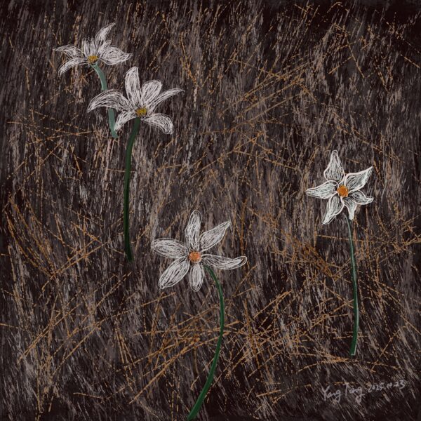 Two Springs wild flowers 001 – narcissus deficiens