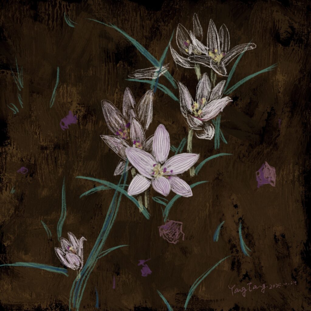 Two Springs wild flowers 002 – colchicum cupanii