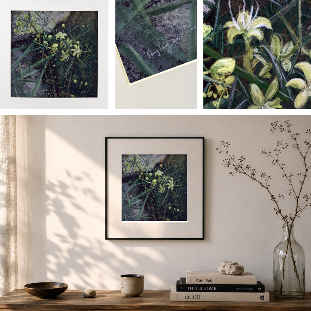 wild flowers 008 – asparagus aphyllus