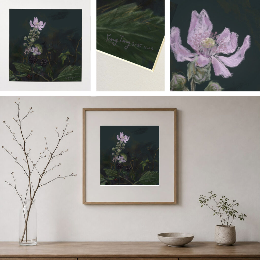 wild flowers 010 – rubus ulmifolius