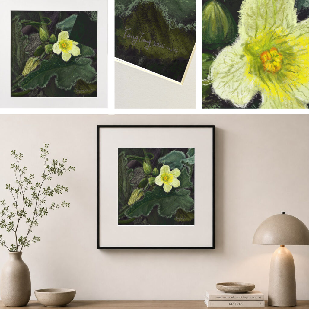wild flowers 011 – ecballium elaterium