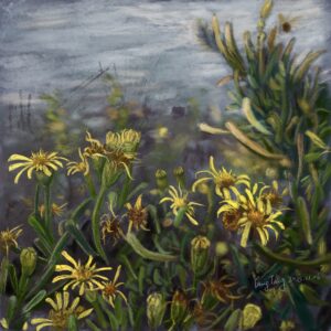 wild flowers 012 – limbarda crithmoides