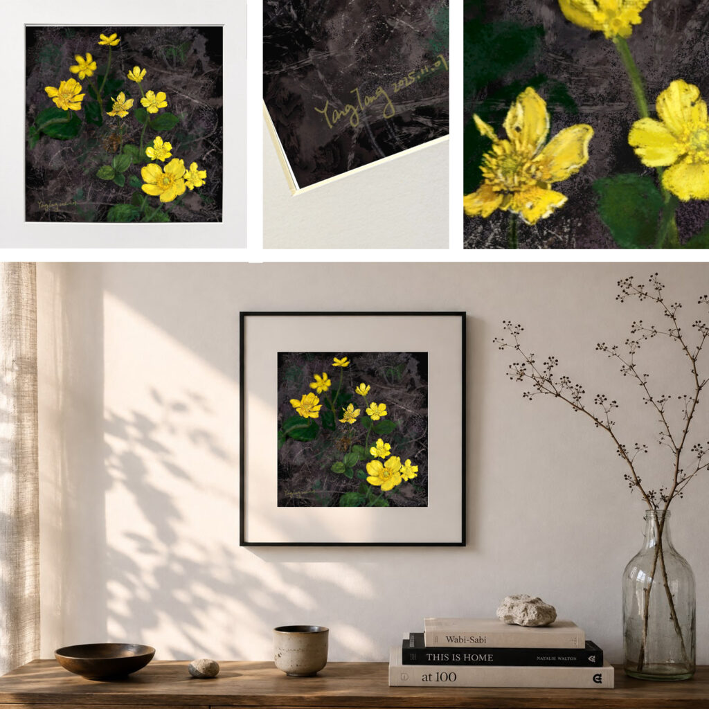 wild flowers 014 – ranunculus bullatus