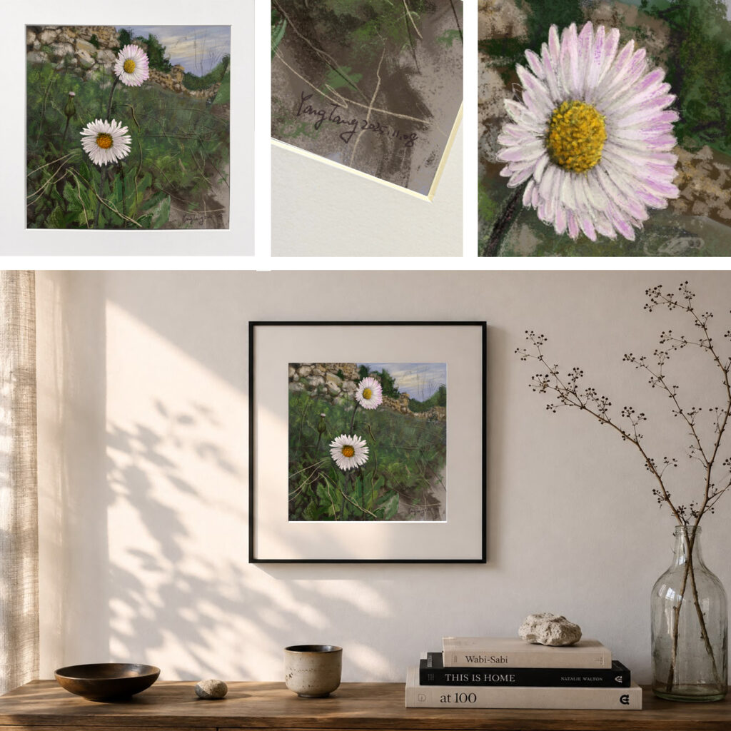 wild flowers 015 – bellis sylvestris