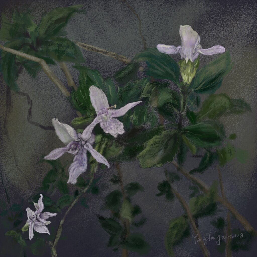Two Springs wild flowers 021 – prasium majus