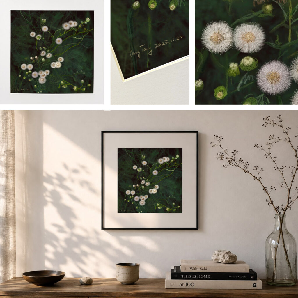 wild flowers 022 – erigeron bonariensis