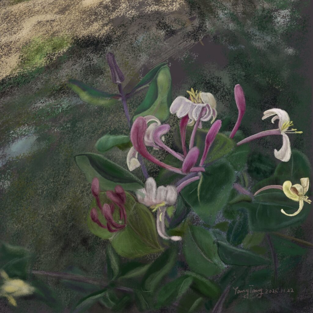 Two Springs wild flowers 023 –