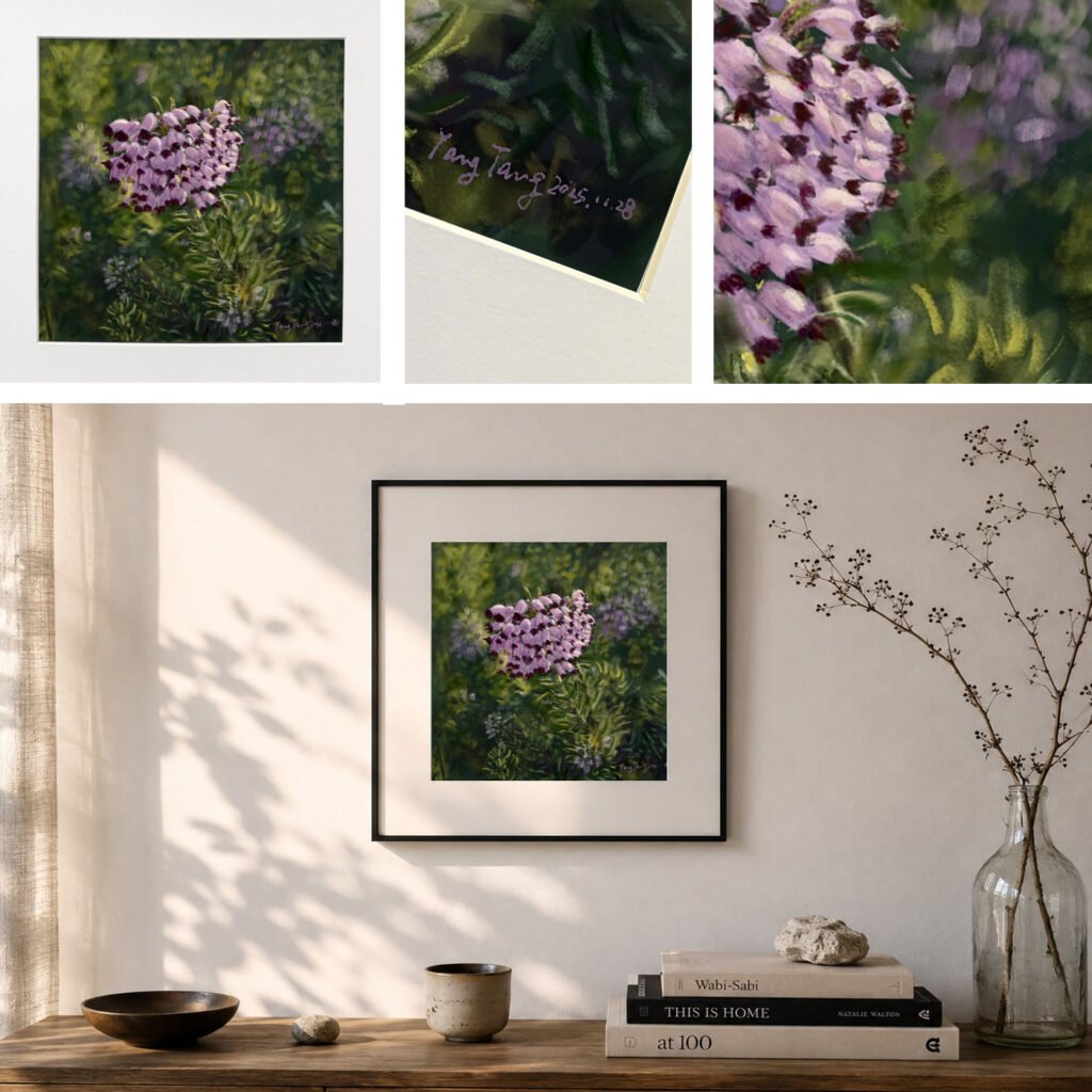 wild flowers 025 – erica multiflora