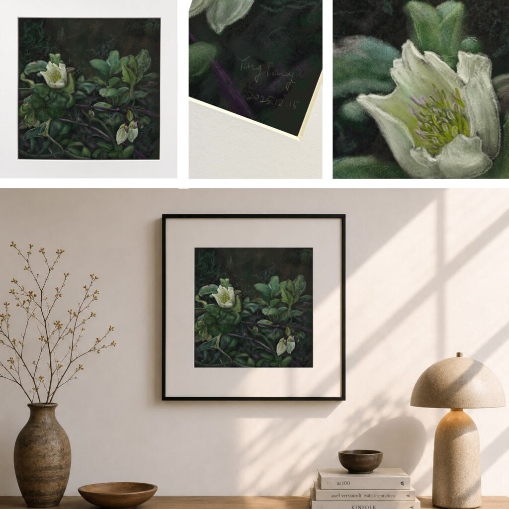 wild flowers 028 – clematis cirrhosa
