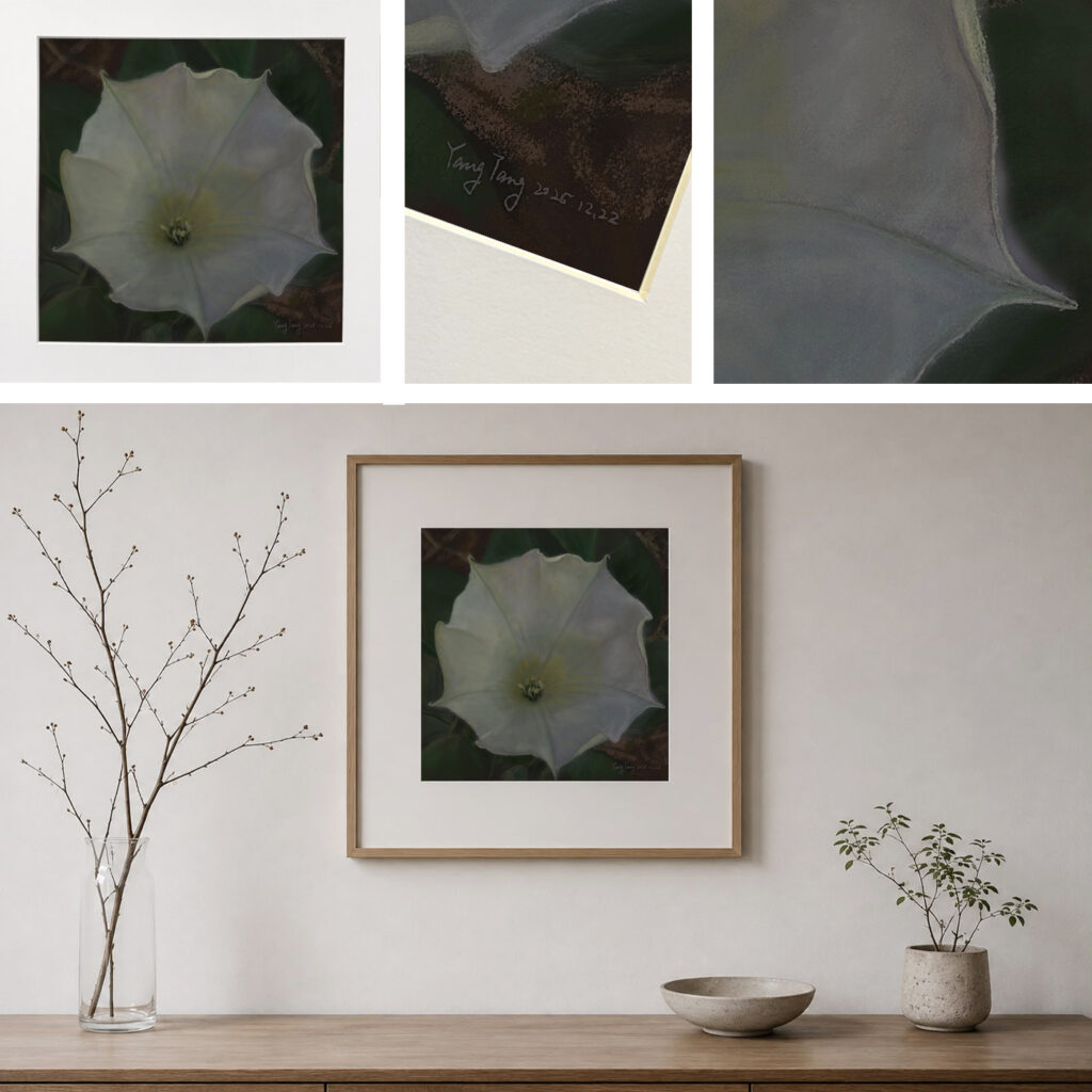 wild flowers 031 – datura stramonium