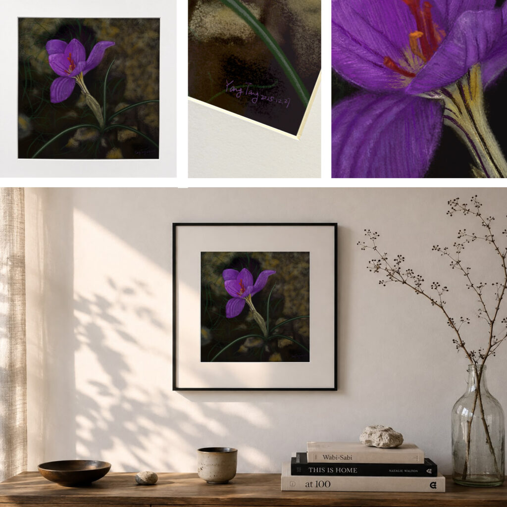 wild flowers 032 – crocus longiflorus