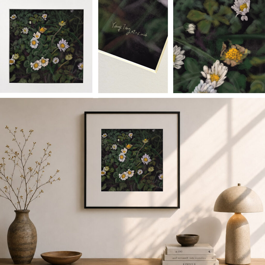 wild flowers 040 – bellis annua