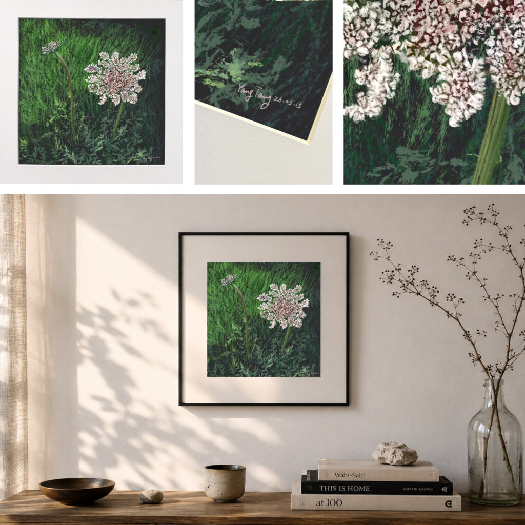 wild flowers 041 – daucus carota