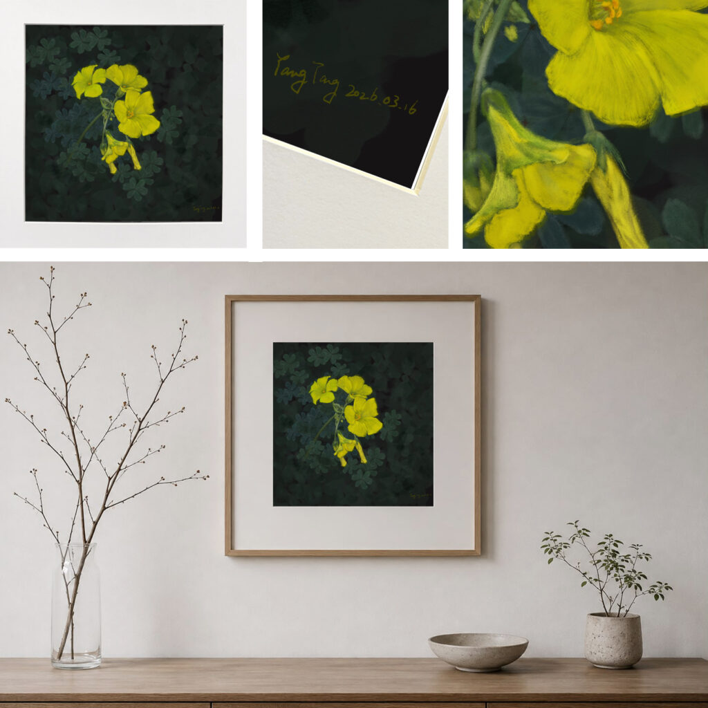 wild flowers 042 – oxalis pes caprae