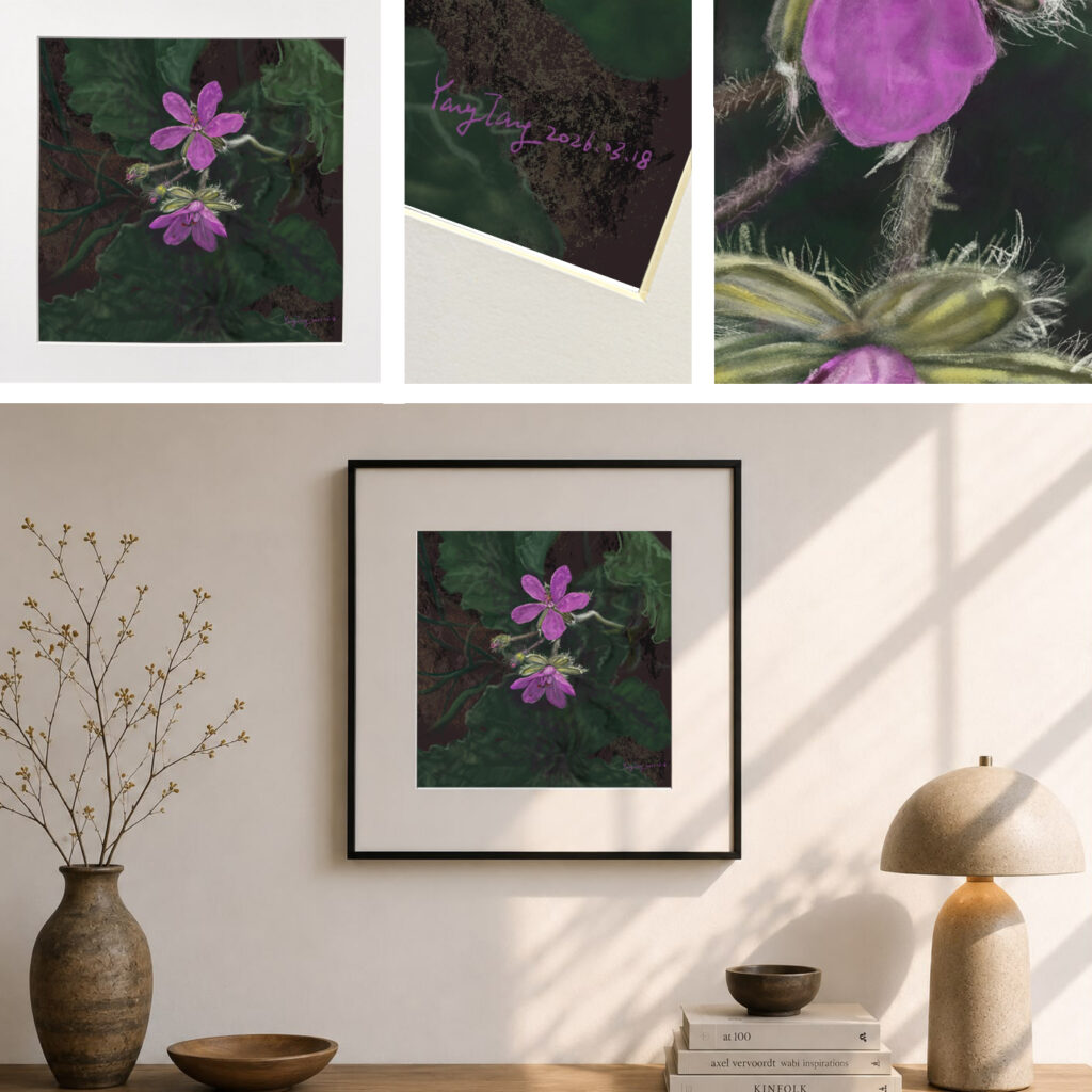 wild flowers 043 – erodium malacoides