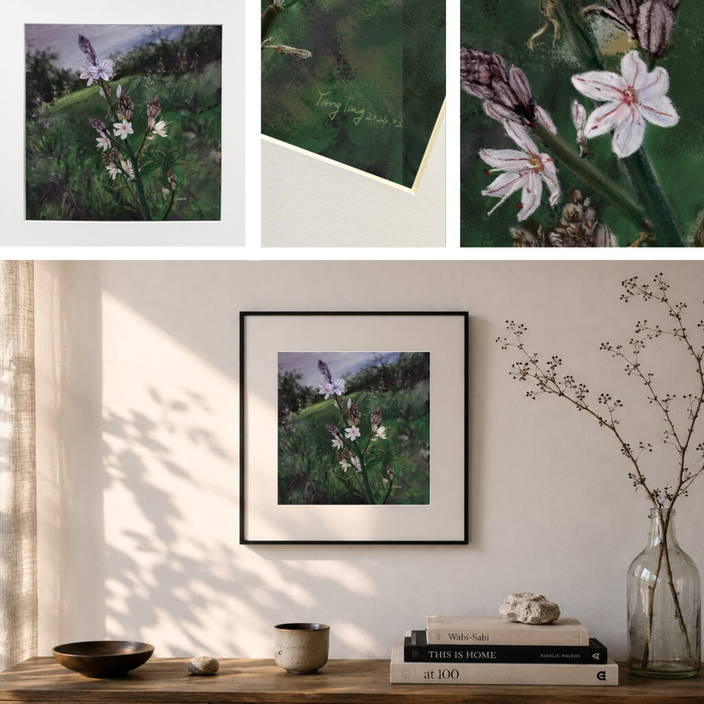wild flowers 046 – asphodelus ramosus