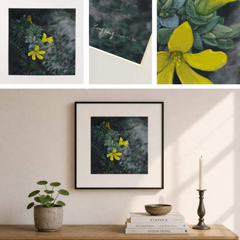 wild flowers 047 – hypericum aegypticum