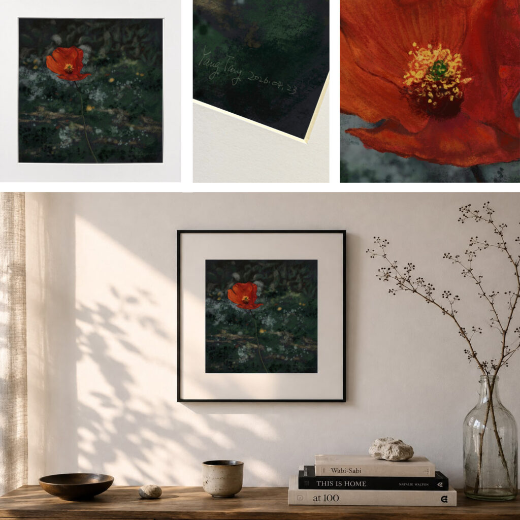 wild flowers 054 – papaver rhoeas