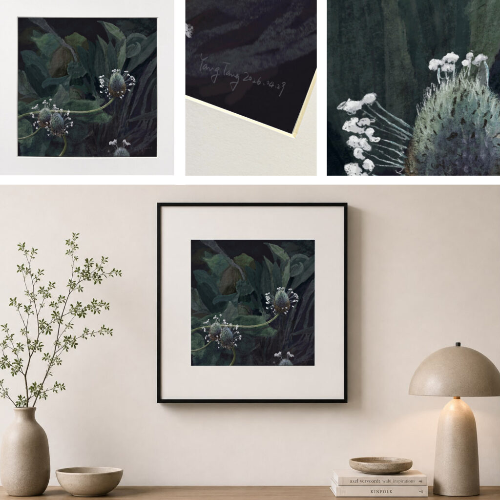 wild flowers 056 – plantago lagopus