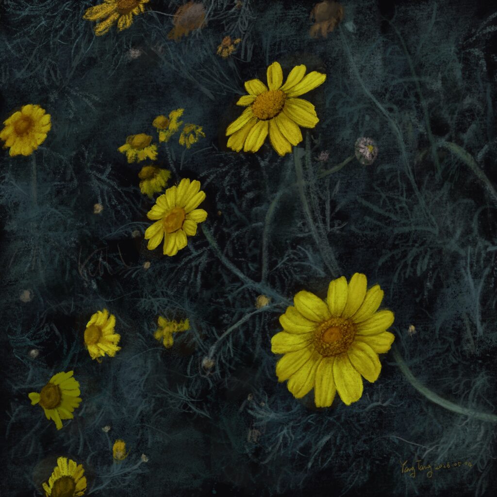 Two Springs wild flowers 053 –