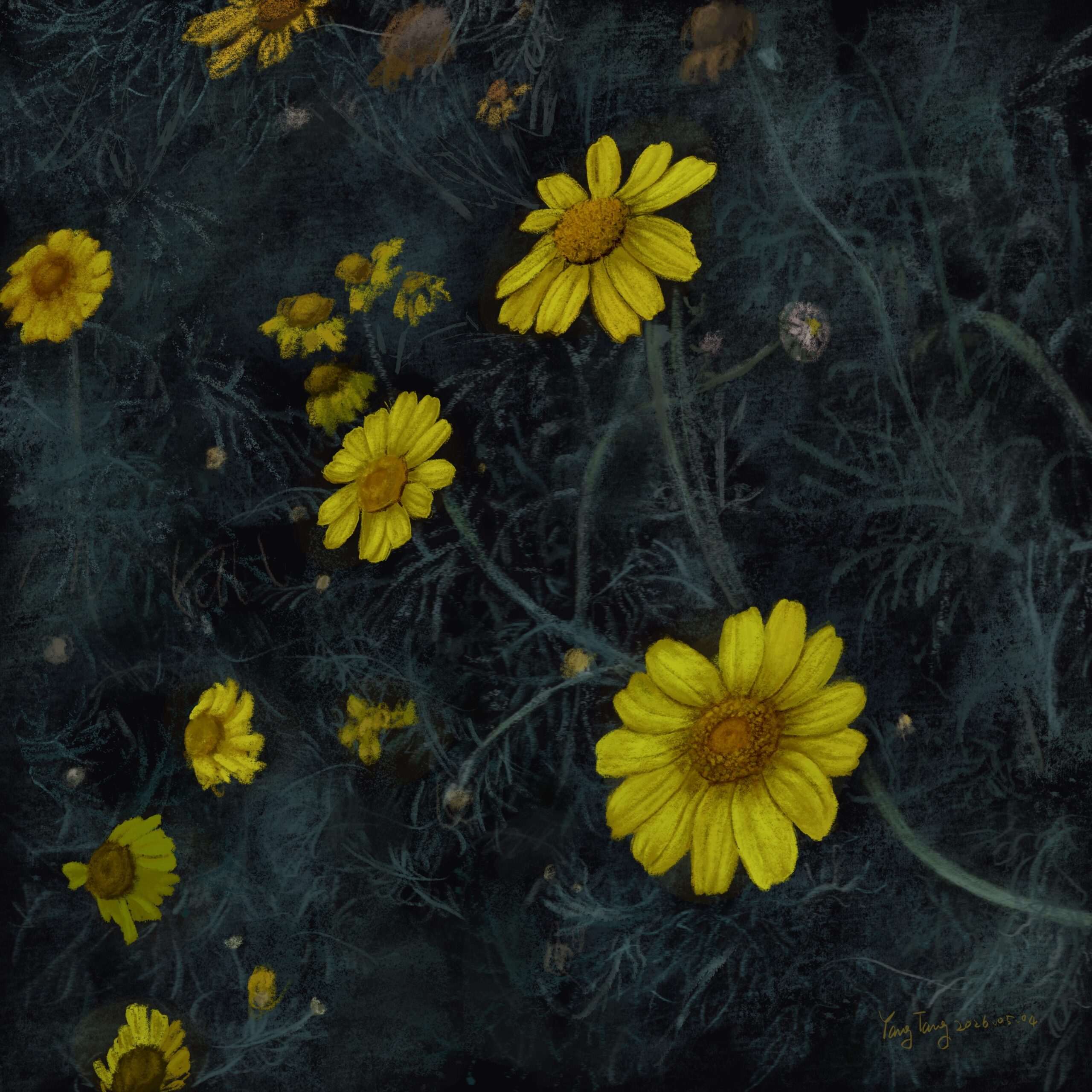 wild flowers 053 – wild flowers 053 –