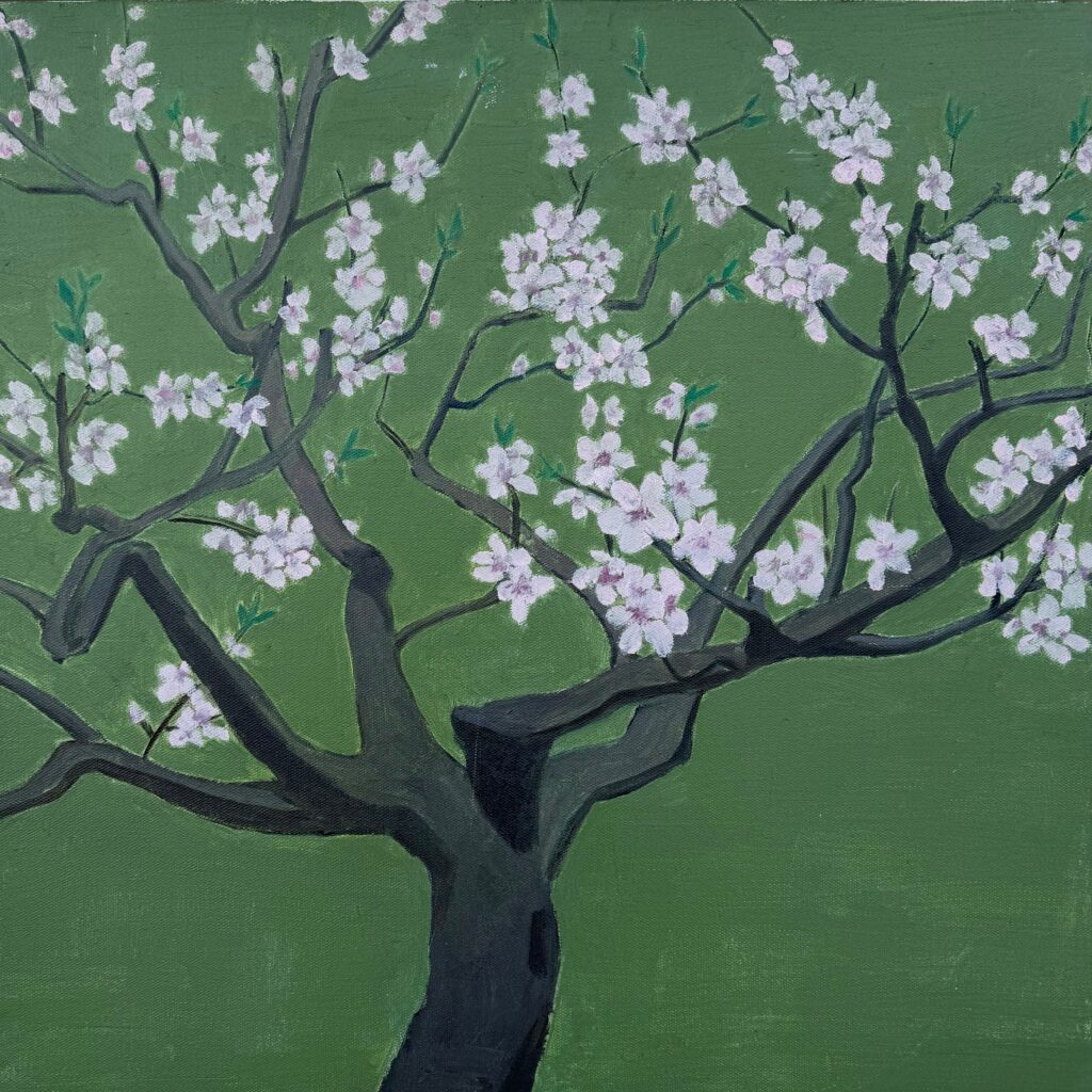 Two Springs peach blossom – 11