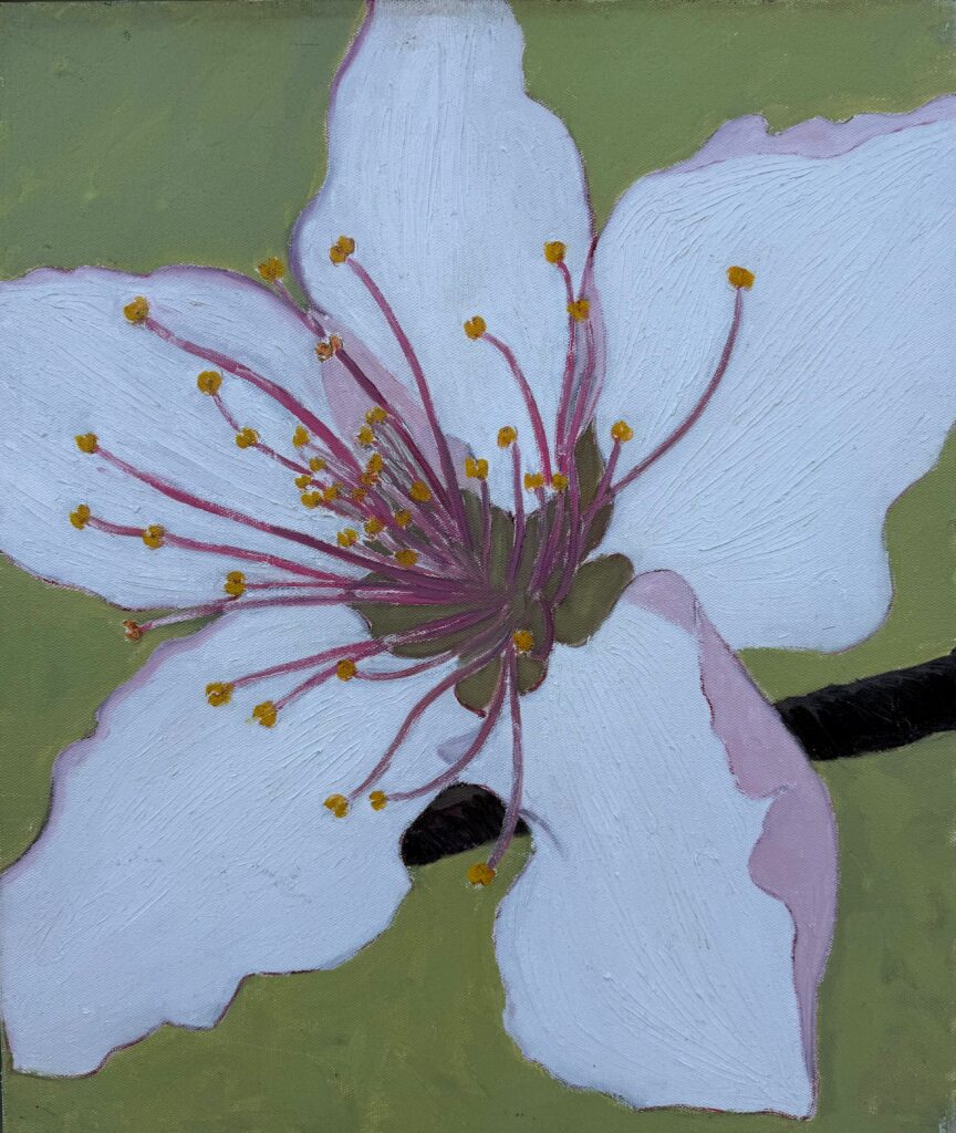 Two Springs peach blossom 01