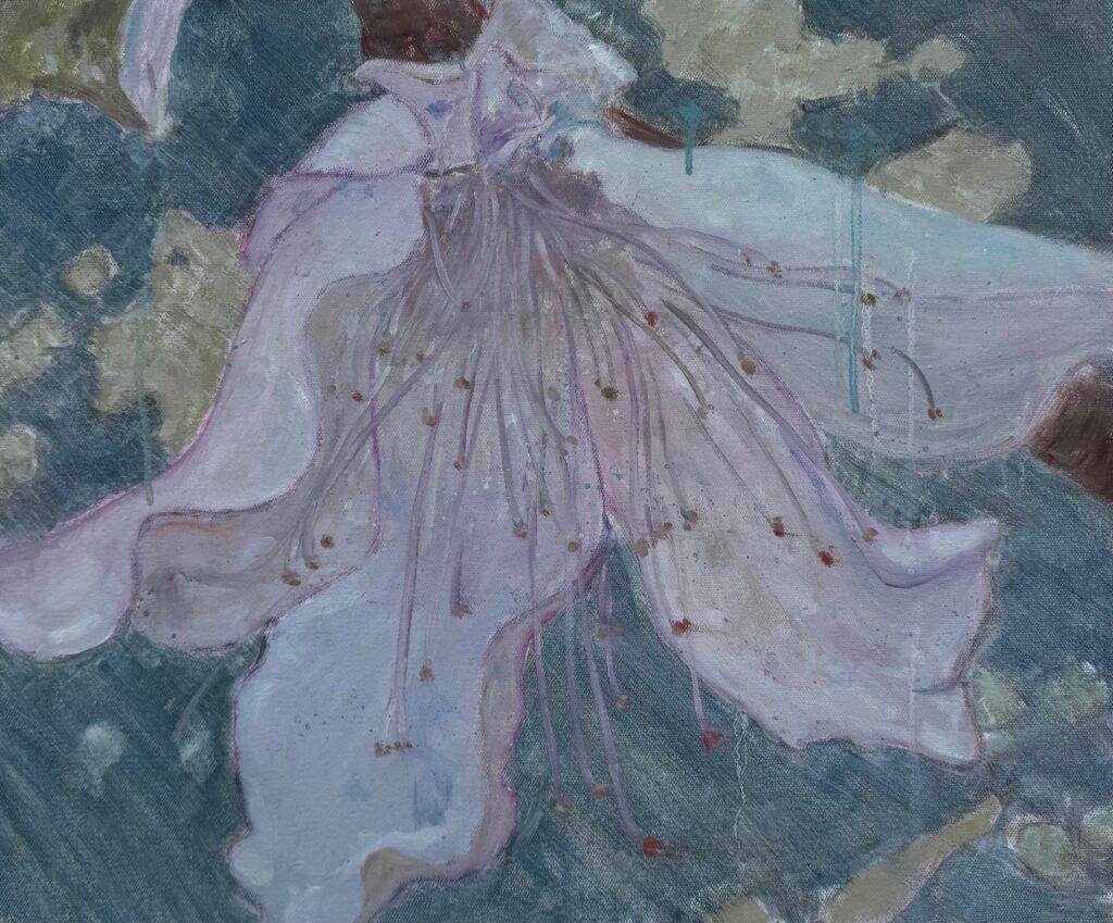 Two Springs peach blossom – 05