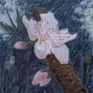 peach blossom – 02