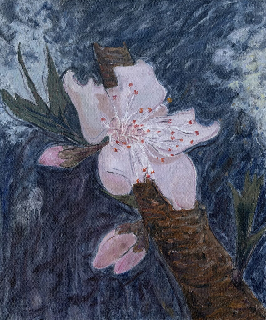 Two Springs peach blossom – 02